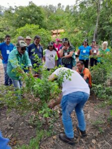 Na-pratica-da-agricultura-estes-produtores-encontram-uma-forma-de-produzir-os-proprios-alimentos-garantir-renda-propria-comercializar-produtos-e-gerar-empregos-no-campo.jpg